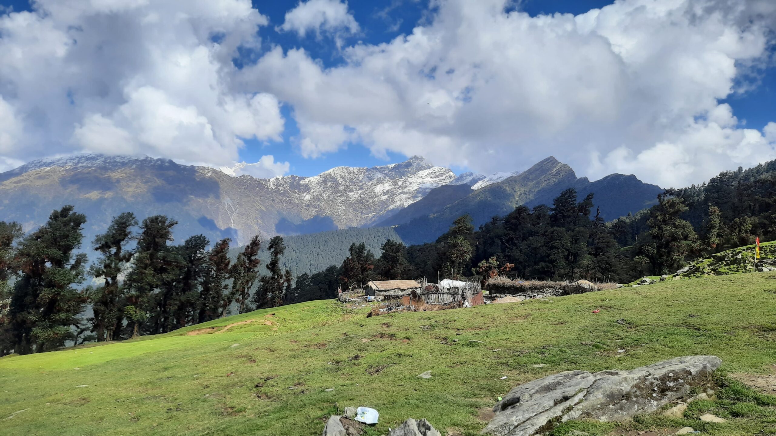 Chopta Valley