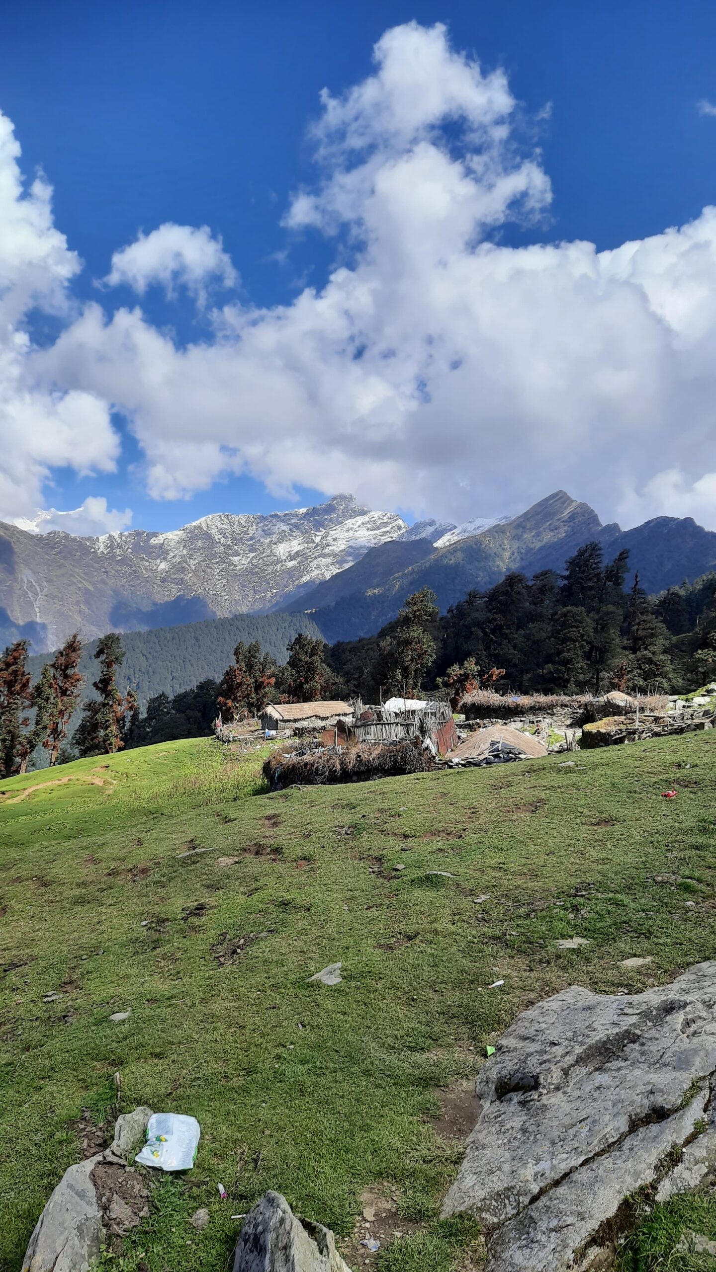 Chopta Valley