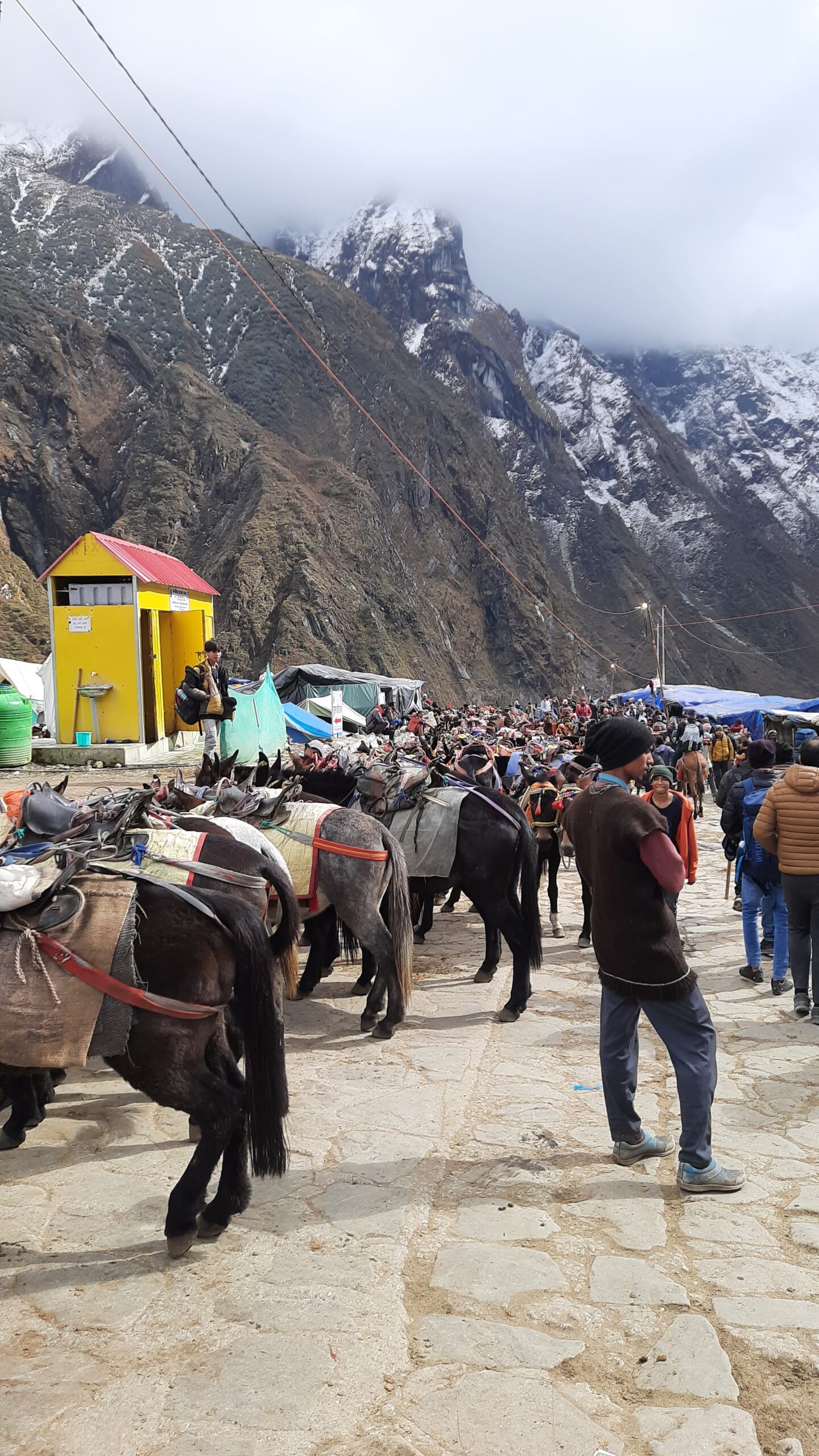 Ponies on Kedarnath Trek