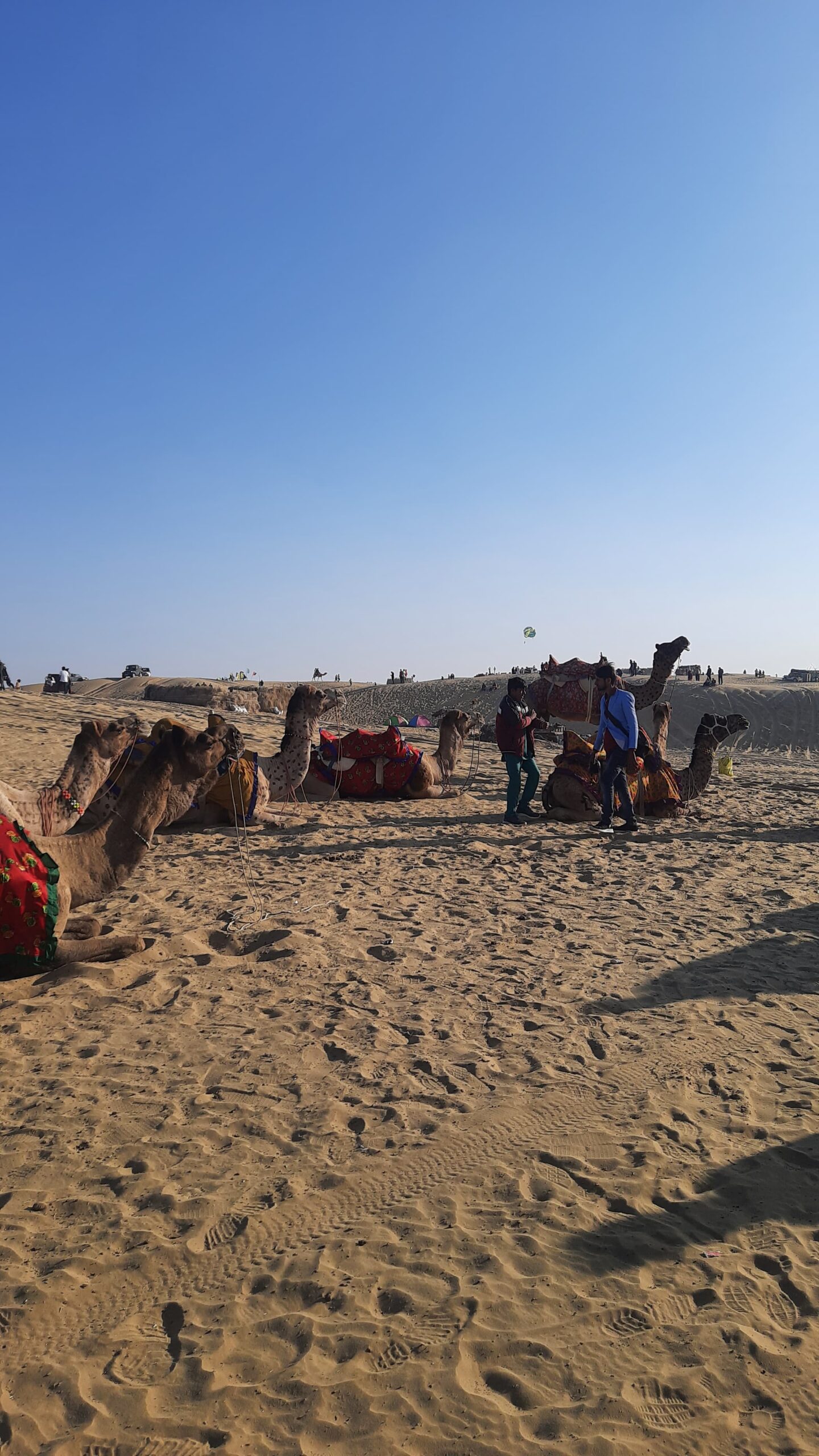 Thar Desert