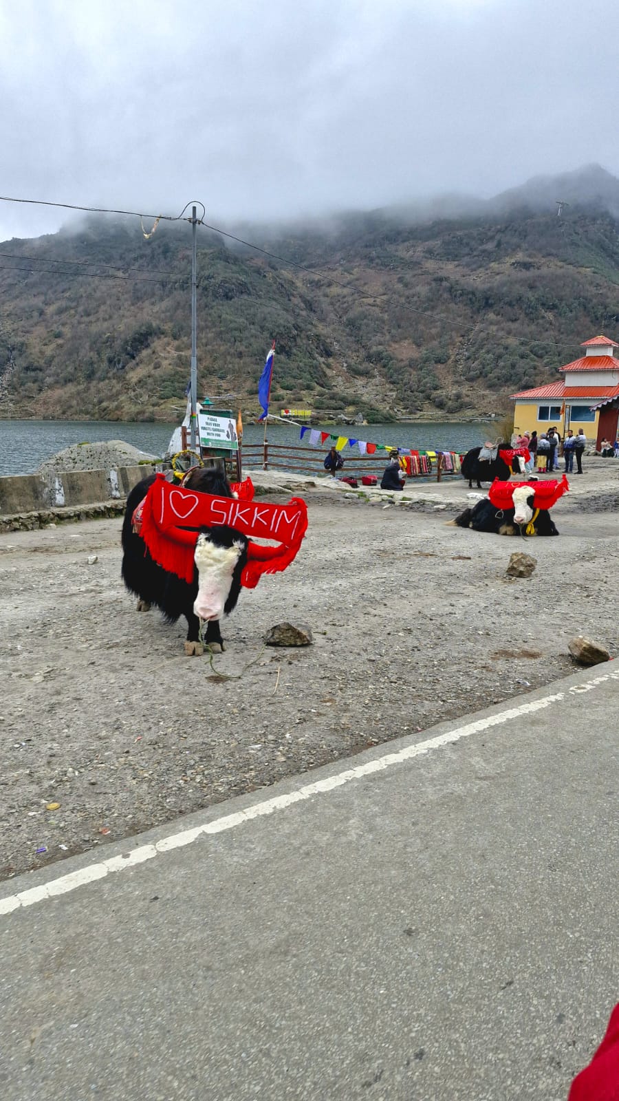 The Unexplored Planet in India: Welcome to Gorgeous North Sikkim 3 Tsongmo Lake